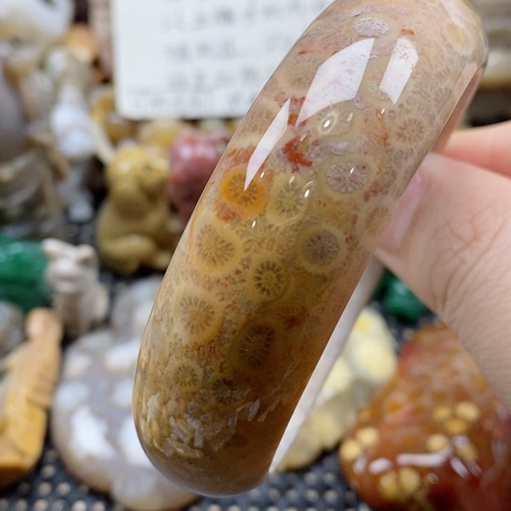 硅化珊瑚（珊瑚玉）颈饰未镶嵌57