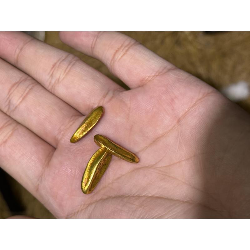 011 其它趣味收集 JGZ