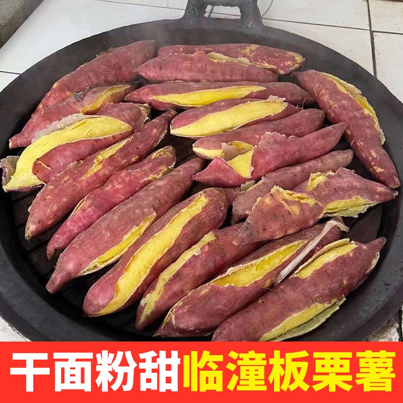 陕西板栗红薯干面粉香甜5斤烤地瓜板栗红薯烟蜜薯粗粮农产品甘甜