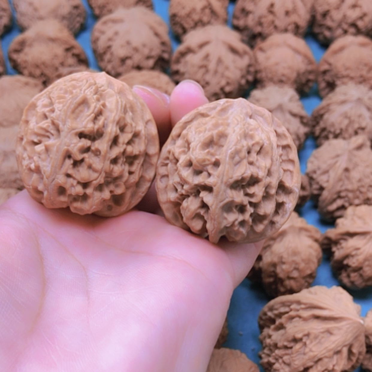 【闪购商品】摆件核桃39苹果有修