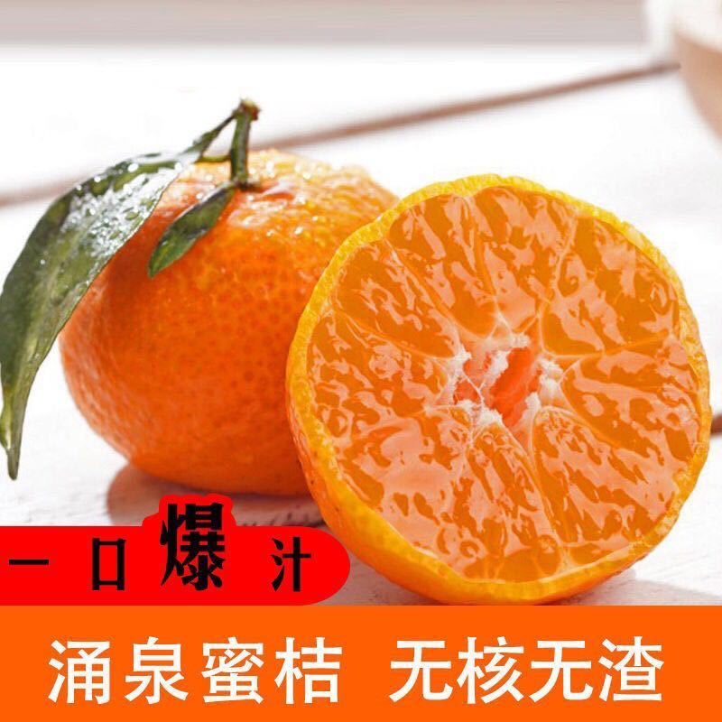 《田专属》正宗临海涌泉蜜橘无核薄皮多汁高山橘子新鲜当季水果大丰1号无打蜡浙江省