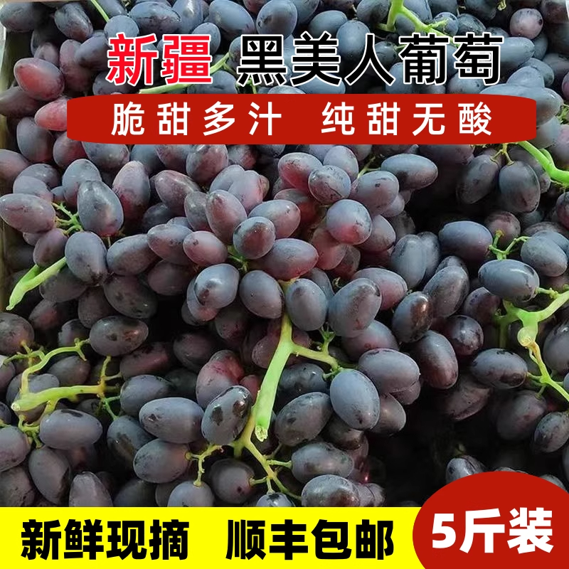 正宗新疆吐鲁番无核紫葡萄黑美人葡萄当季新鲜现摘无籽黑加仑提子礼盒装新疆维吾尔自治区