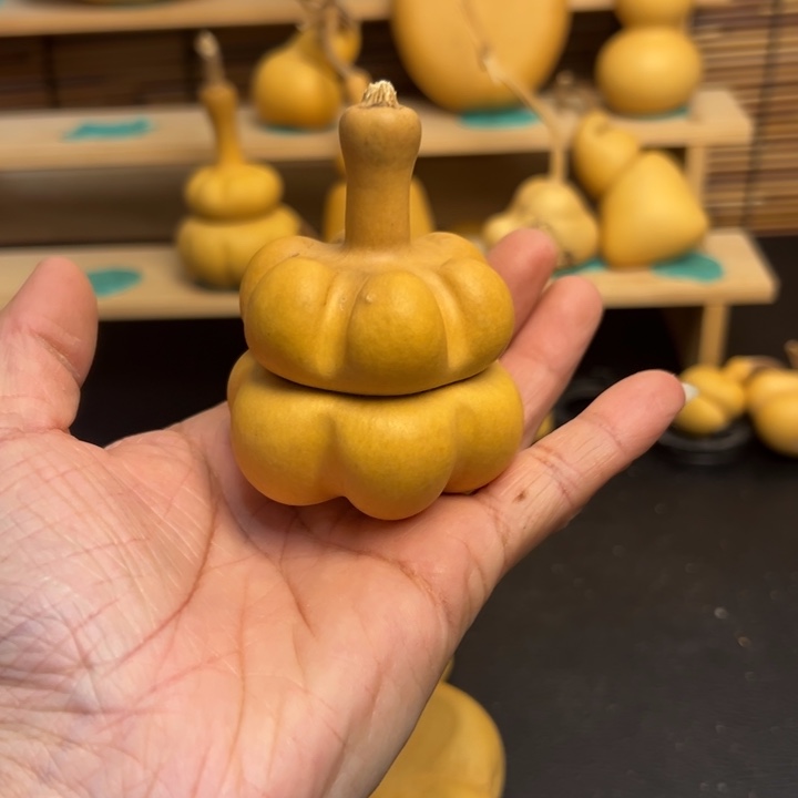 飞*葫芦葫芦葫芦葫芦