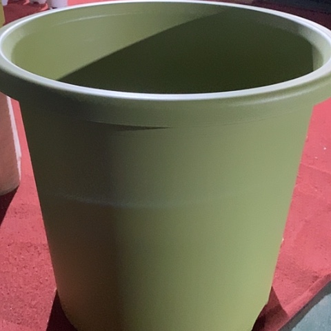 树脂四季12号果绿无托2个