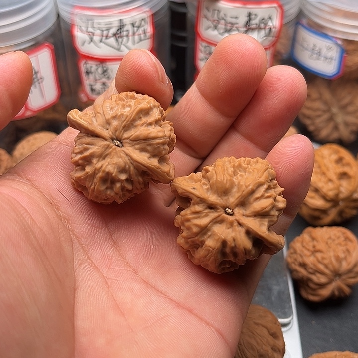 文玩核桃把件野狼