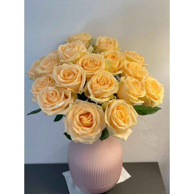 香槟10枝玫瑰 蜜桃雪山  一单包邮三单京东 收到需要醒花