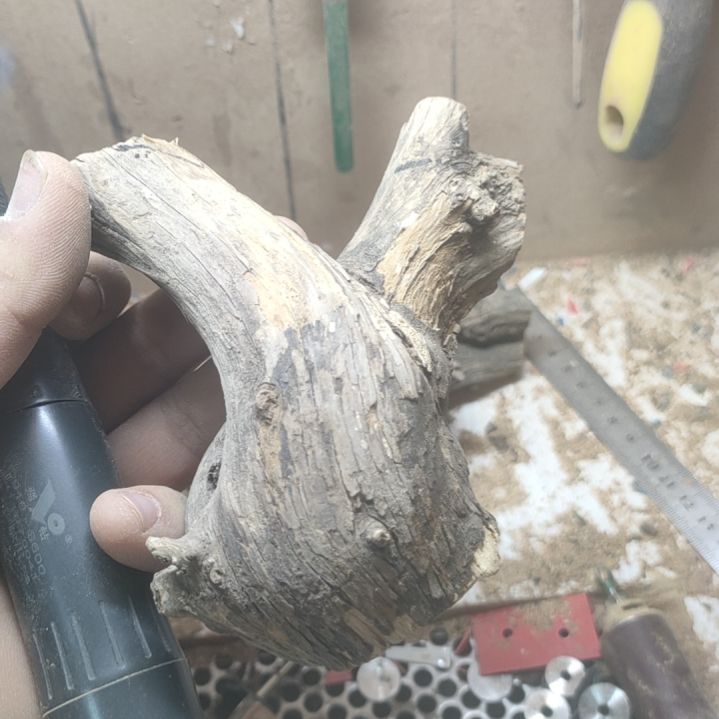 柏木（崖柏）?*涯崖柏随型弓