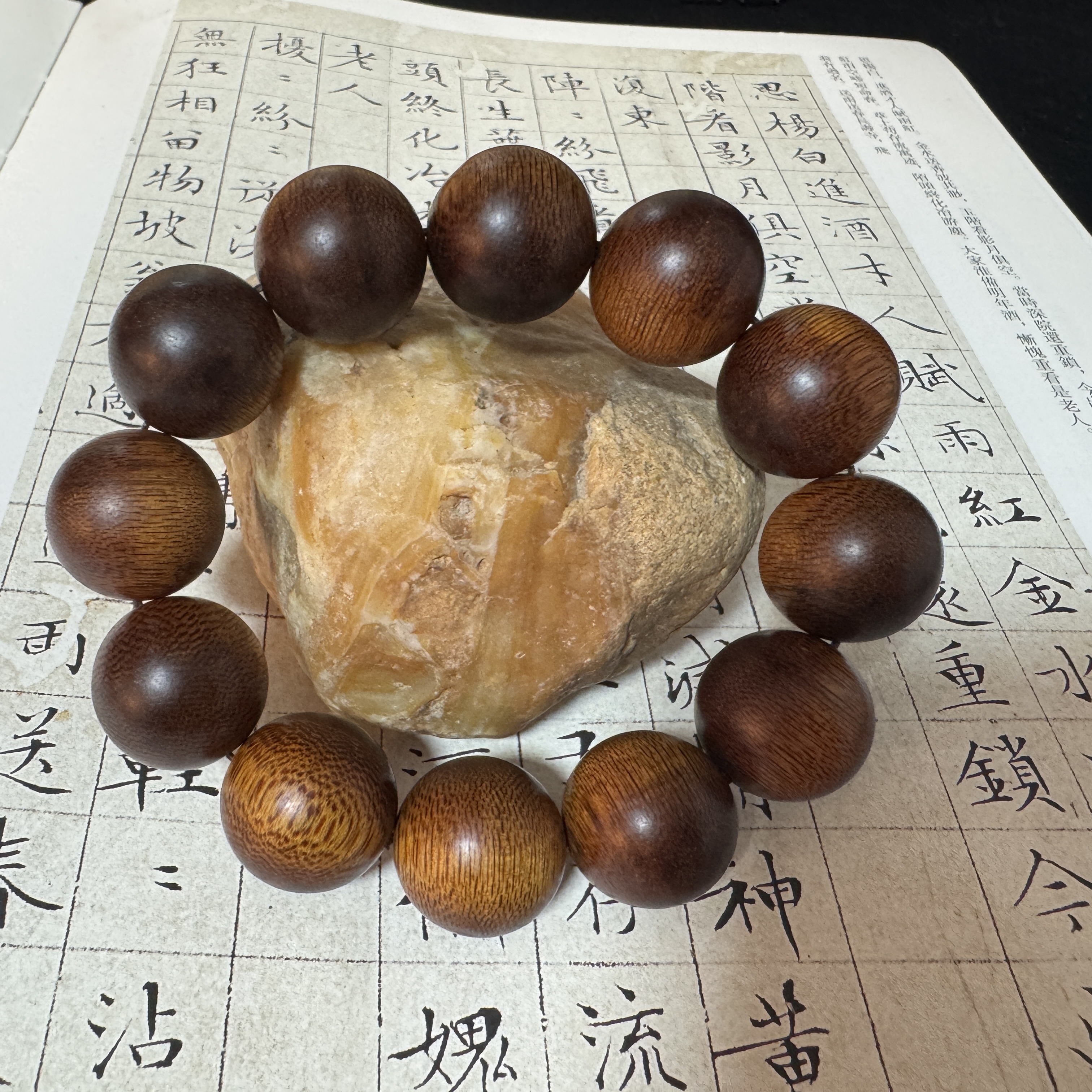 Z-454【印度尼西亚达拉干】单圈20mm，58.6g
