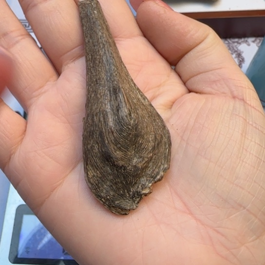 沉香木摆件海南野生木鸡仔3.1克