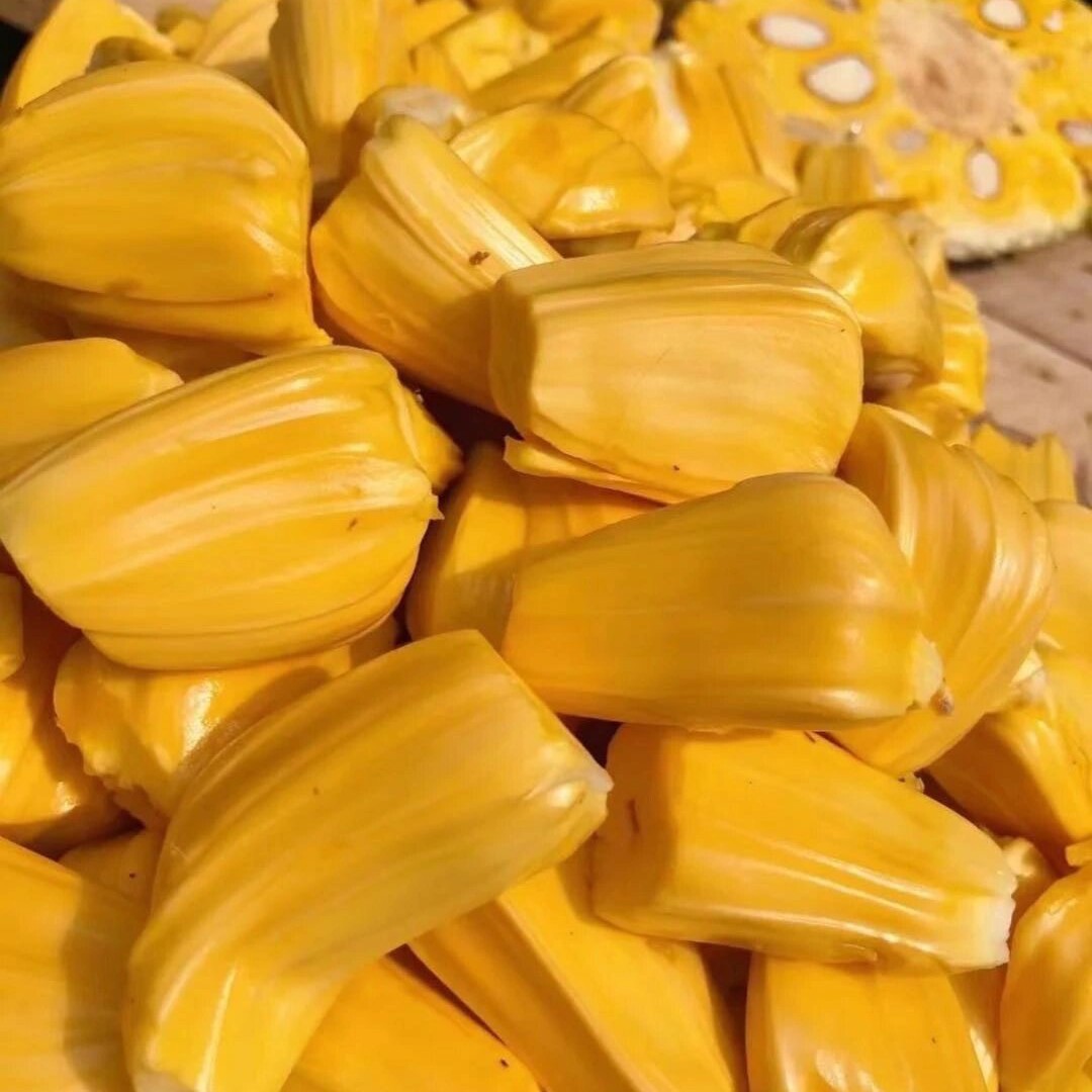 越南黄肉菠萝蜜整果现货39.8越南
