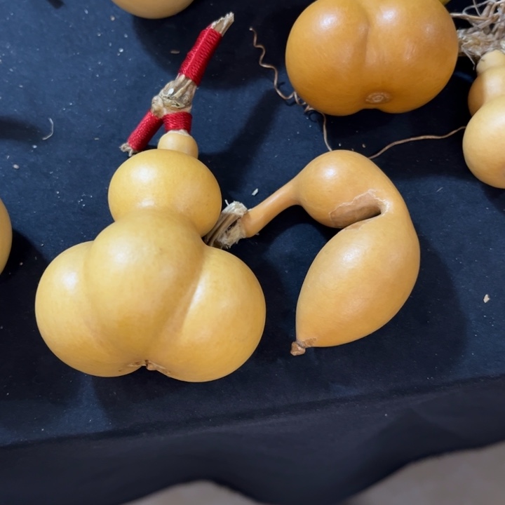 咕噜咕噜咕噜咕噜咕噜咕噜