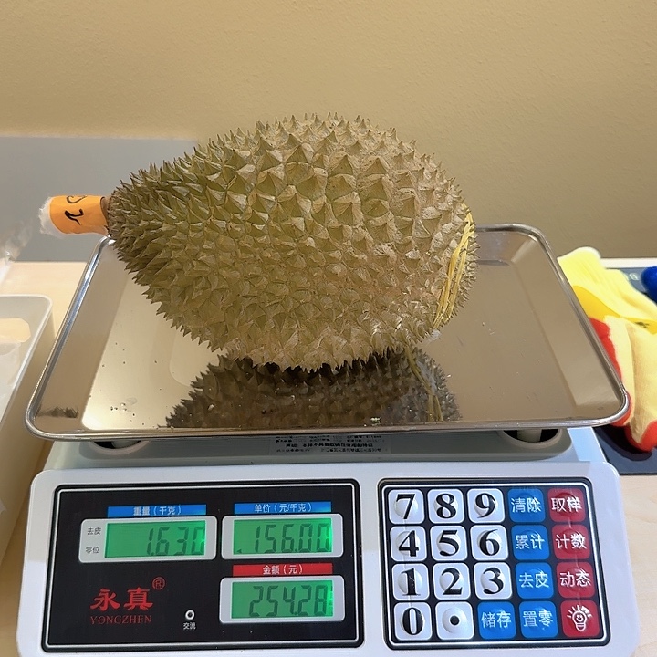 猫山王D2拿督最后一颗