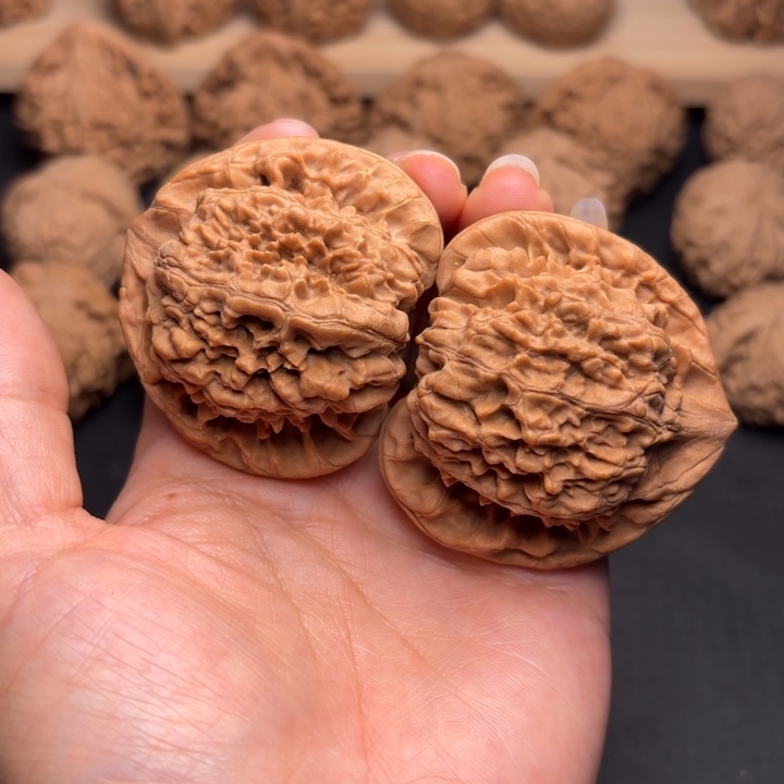 把件文玩核桃48官帽克重51.7