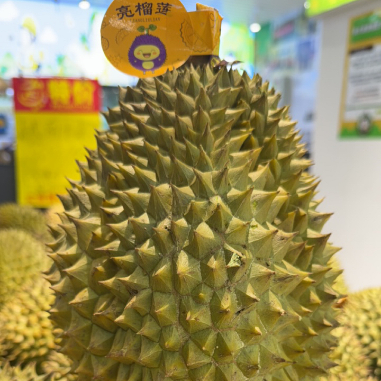 1 号 越南新鲜干尧榴莲3-9斤（果核大）金枕越南金枕越南