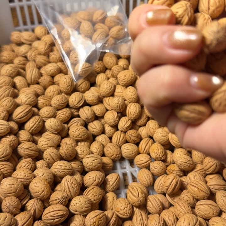 专***狗桃核吊坠盘锦圣诞树