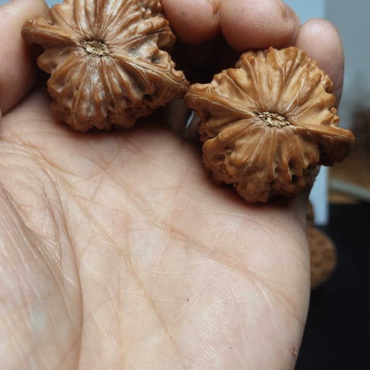 核桃37尺寸红皮磨盘一对