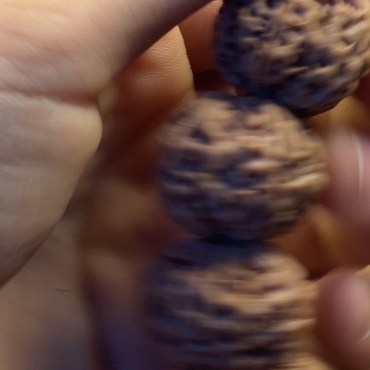 金刚菩提吊坠25原皮