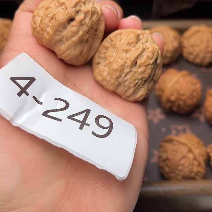 核桃35全品蛤蟆头4249