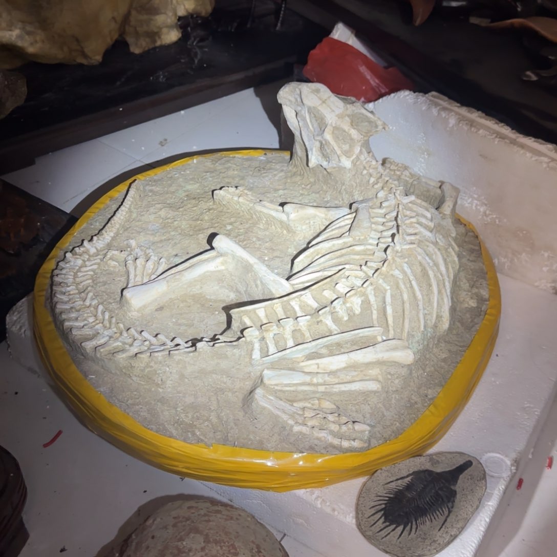 茶杯紫砂不****儿精品摆件家居摆件