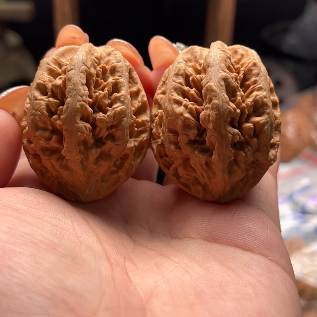 文玩核桃把件妍*关东木子家楸大胖63