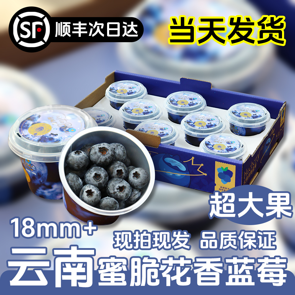 【明天到】云南蜜脆真花香蓝莓18mm+超大果*100g/盒*【8盒原箱装】次日达甜脆花香浓郁新鲜云南省