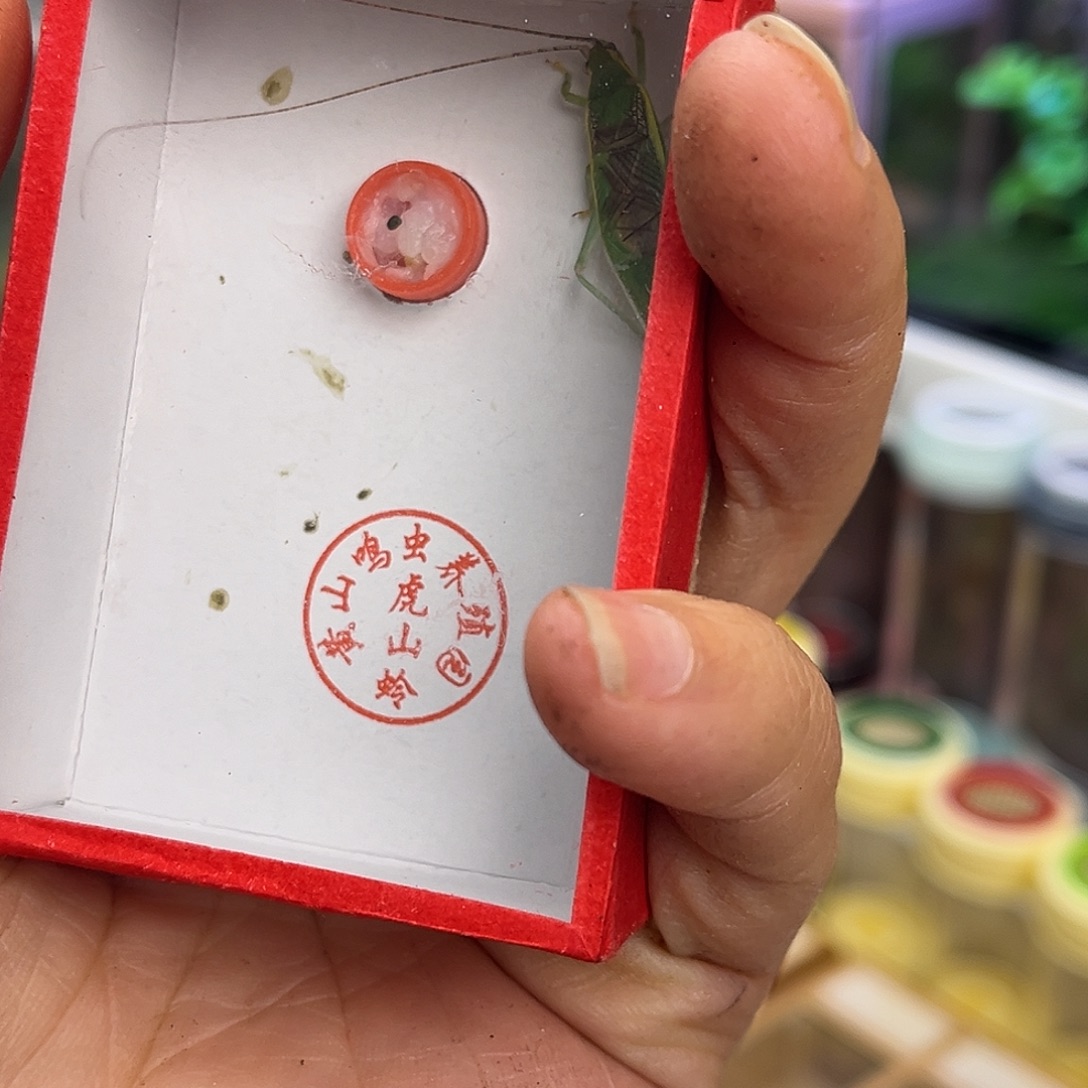 庄***生金钟短哈哈哈哈哈哈哈哈