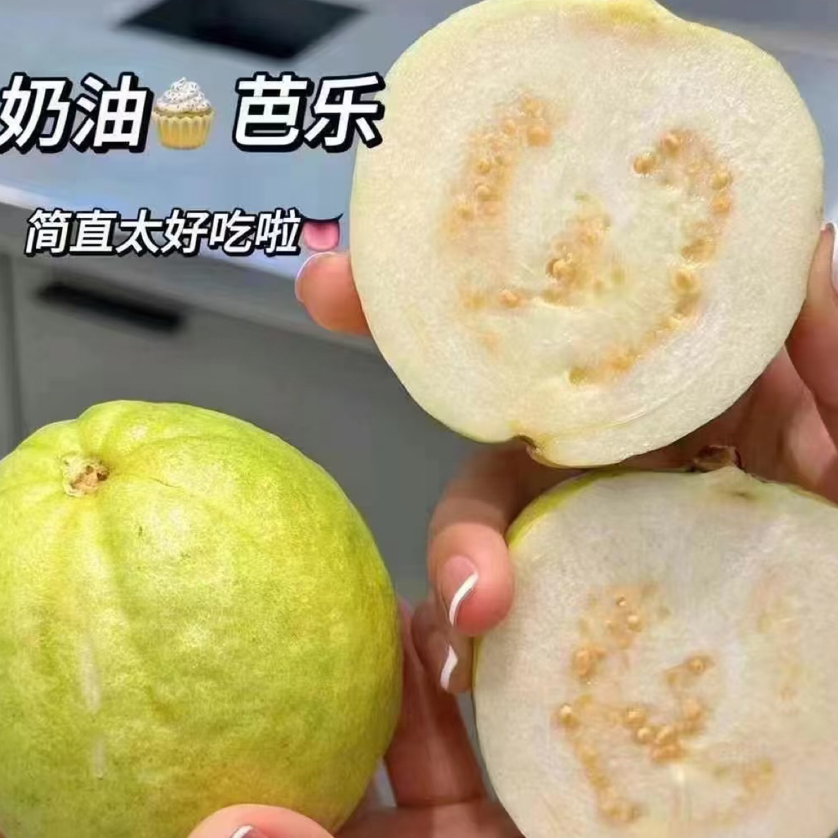 【富贵专属顺丰次日达】海南白芭乐水果1.5公斤包邮到家海南省