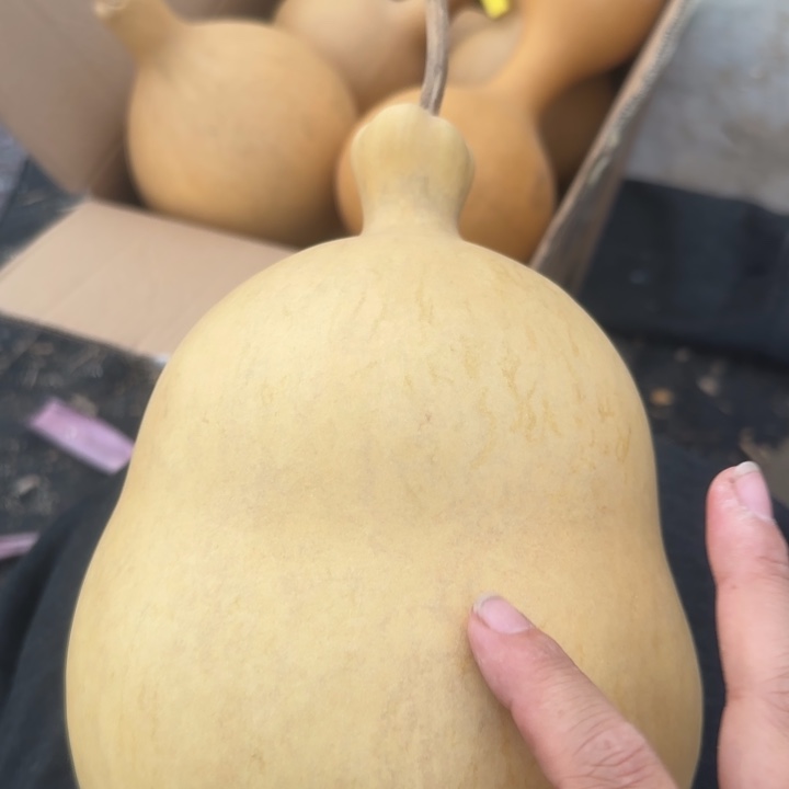 丁***咕噜咕噜咕噜估计图