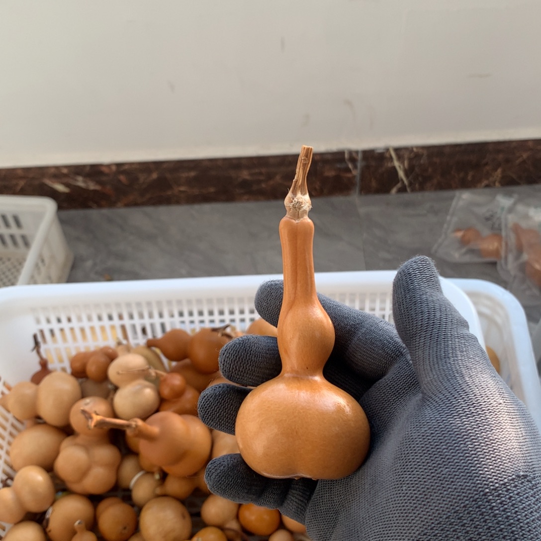 啊啊啊啊啊啊啊啊