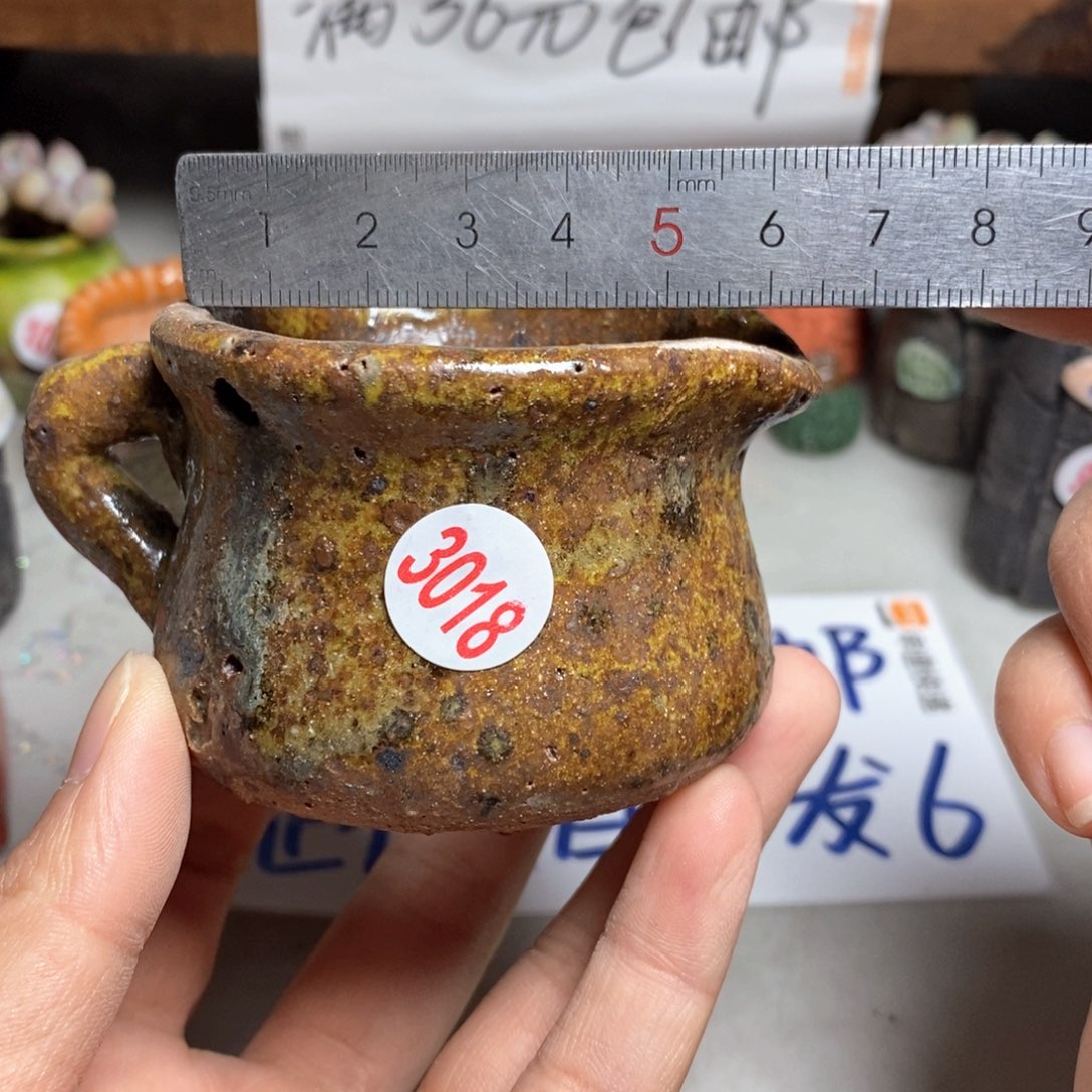 处理，拍5送一个小礼物