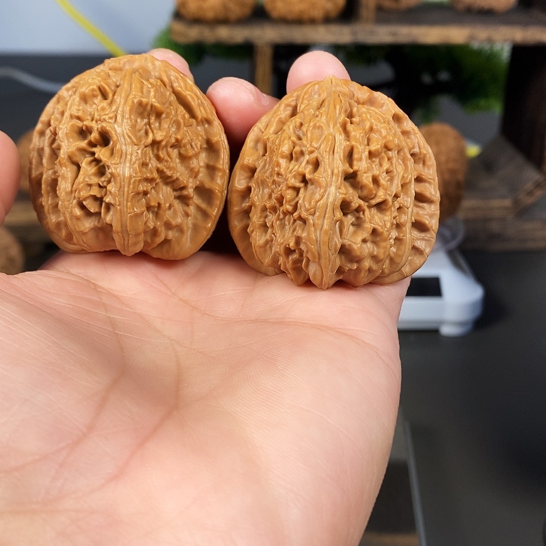 文玩核桃把件老树白狮子红皮果骨质好52克