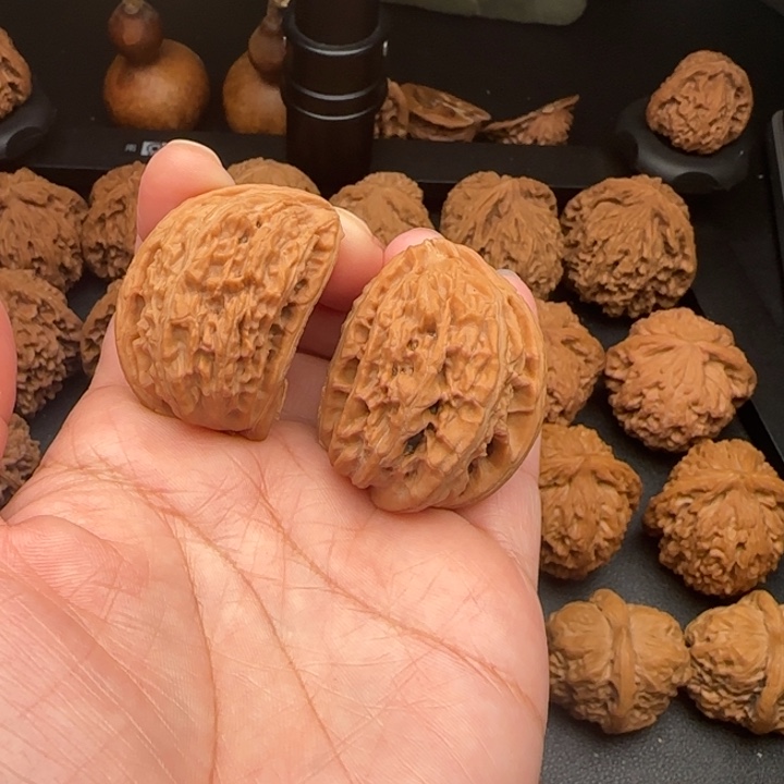 白狮子半壁微黄尖