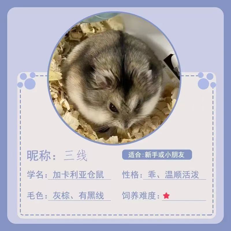 2号链接仅供参考兑换