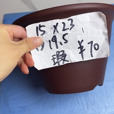 红陶紫砂22222222222