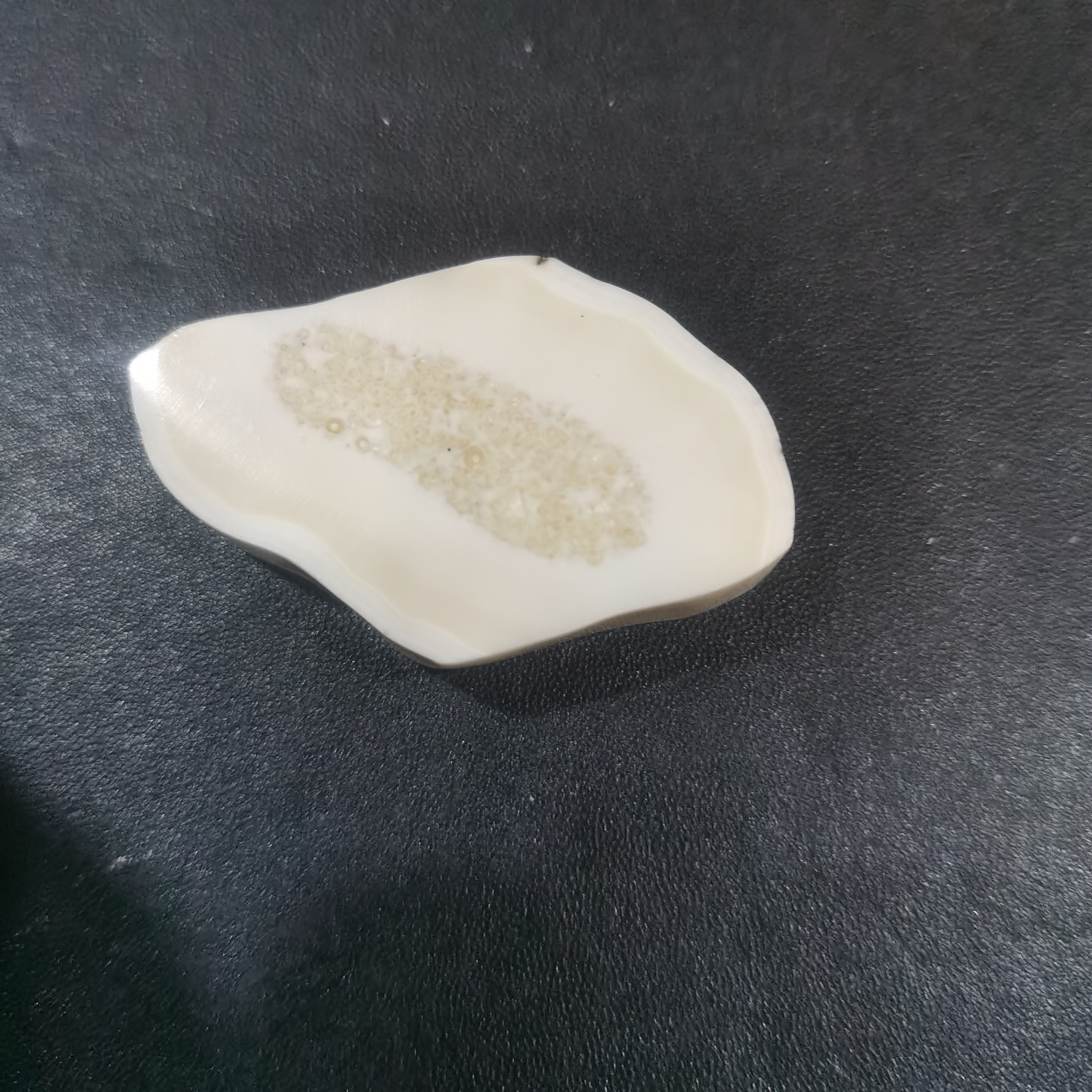 猛犸虬饼子kk792