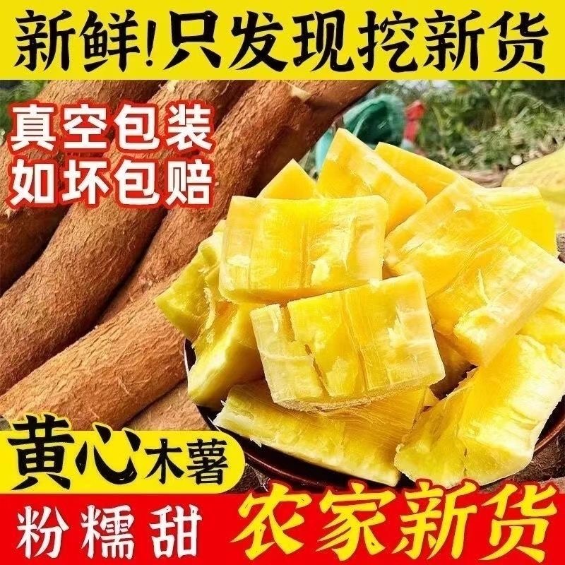 广西特产新鲜现挖黄心黄肉面包木薯可做糖水鸡蛋板栗木薯邮政空运