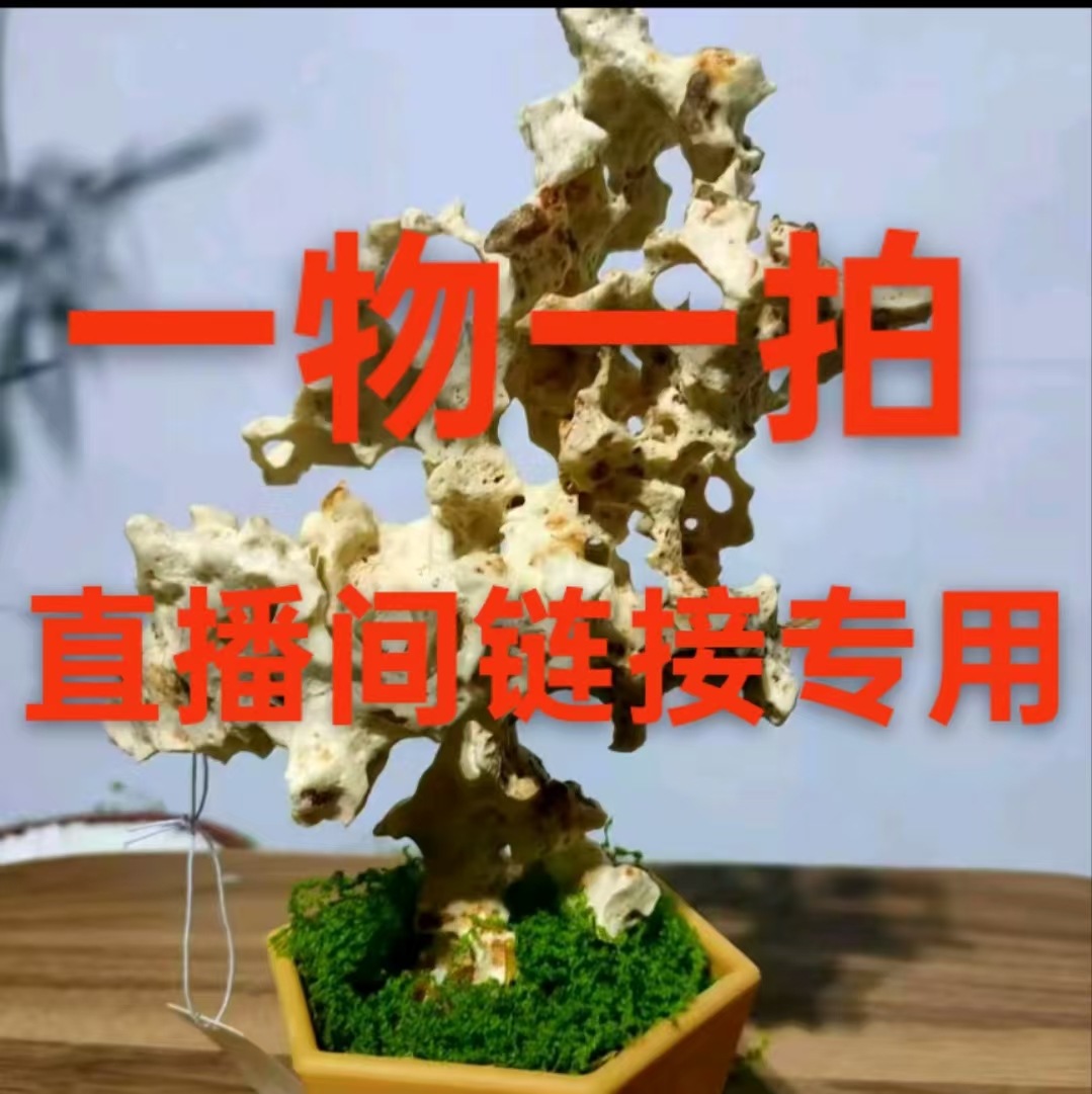 印尼太湖石玲珑石
