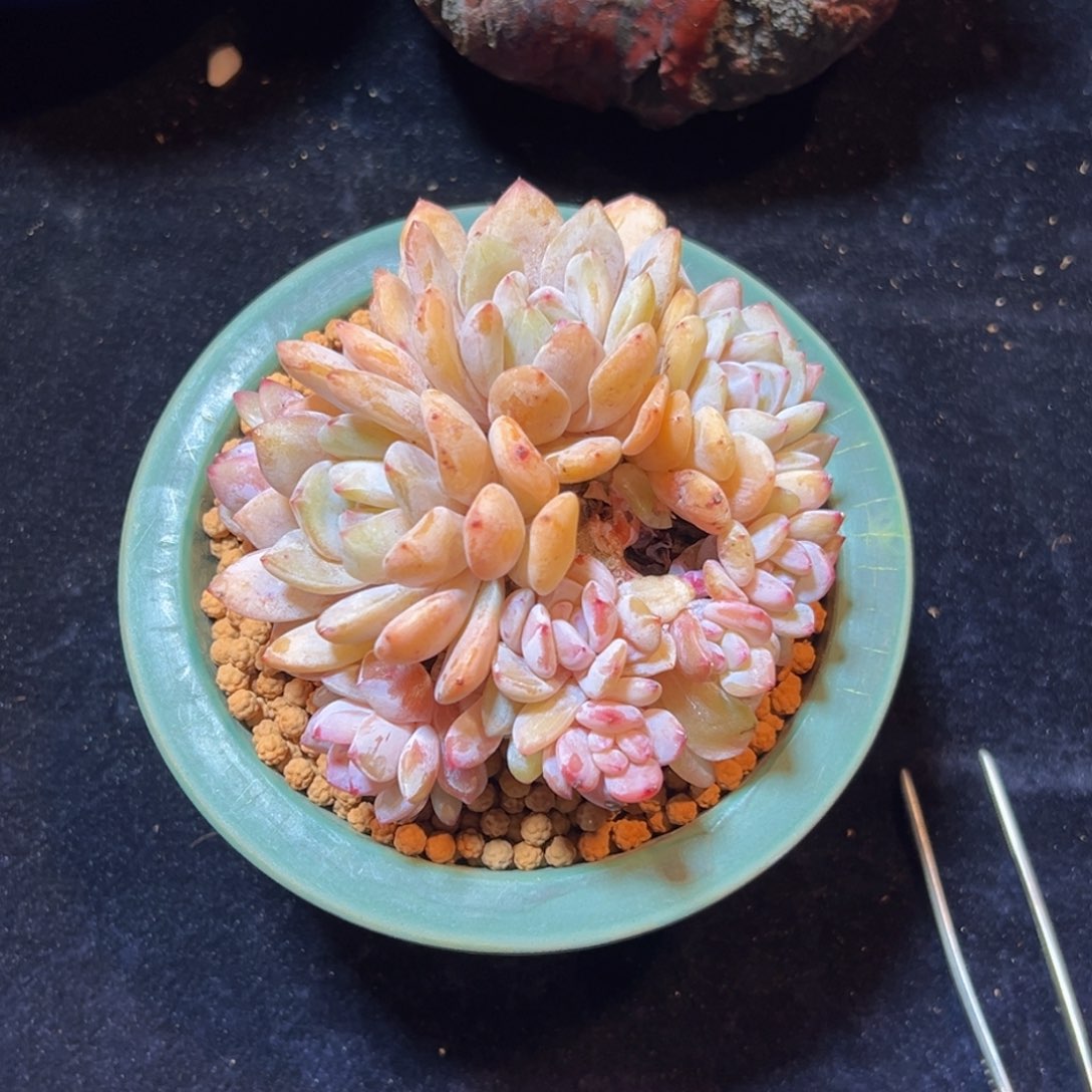 新年快乐 新年快乐