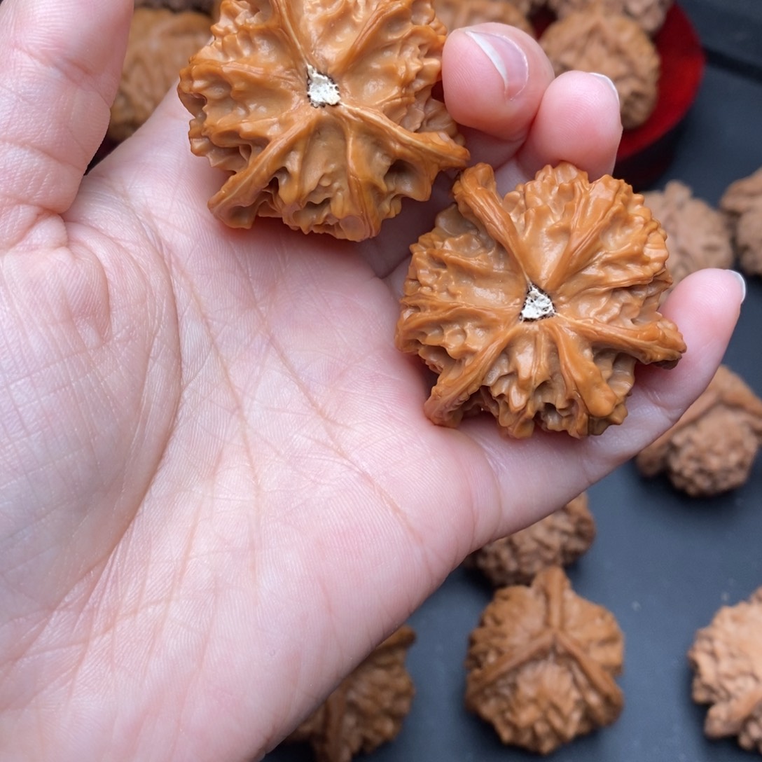 大***龙文玩核桃盘山三棱修尖打底40