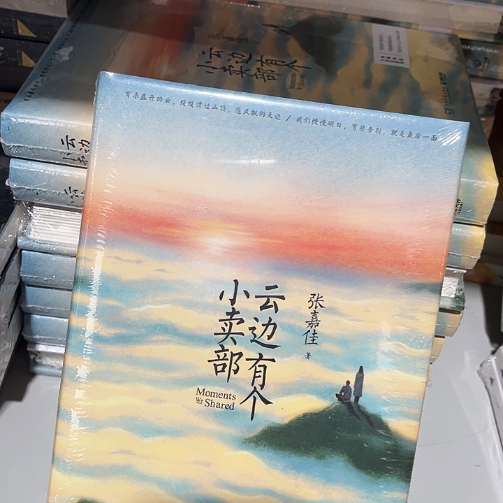 左边有个小卖部全新