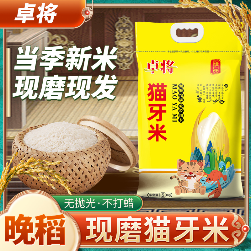 猫牙米20斤10斤50斤新米晚稻香米营养米煲仔米长