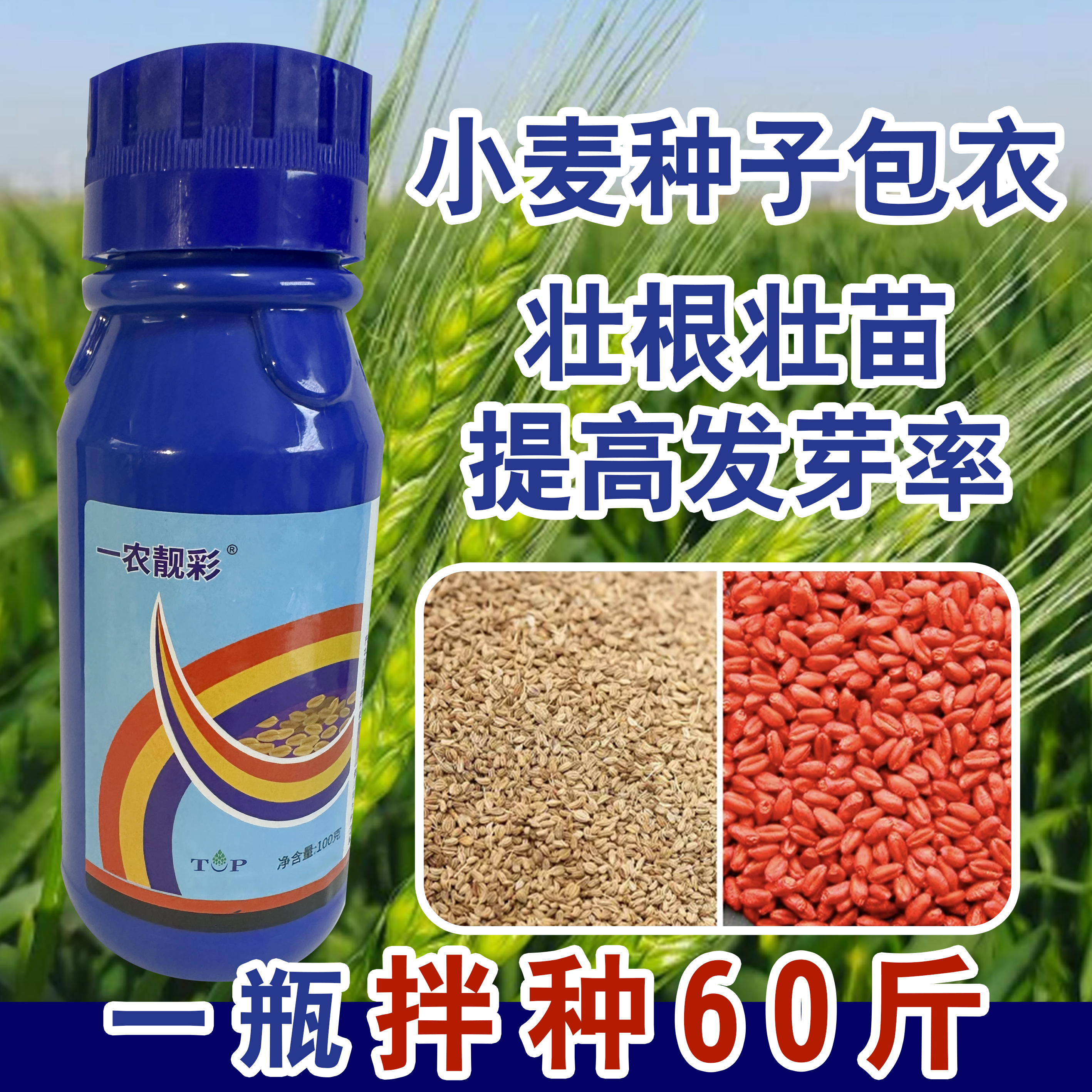 小麦拌种营养壮苗一瓶可用60斤左右小麦专用拌种剂