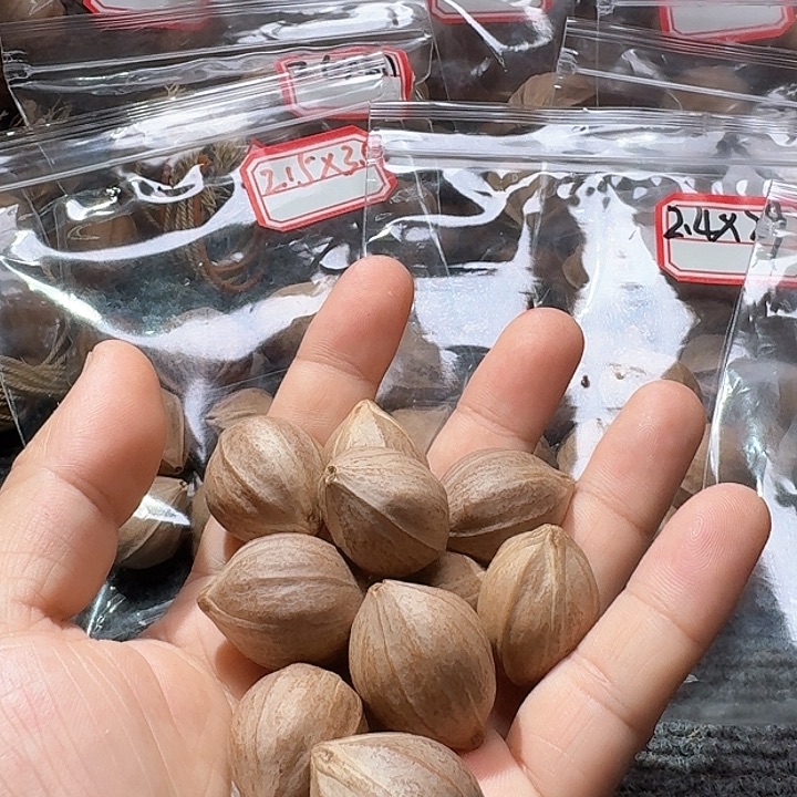 吊坠橄榄核）**（2.2❌3.0