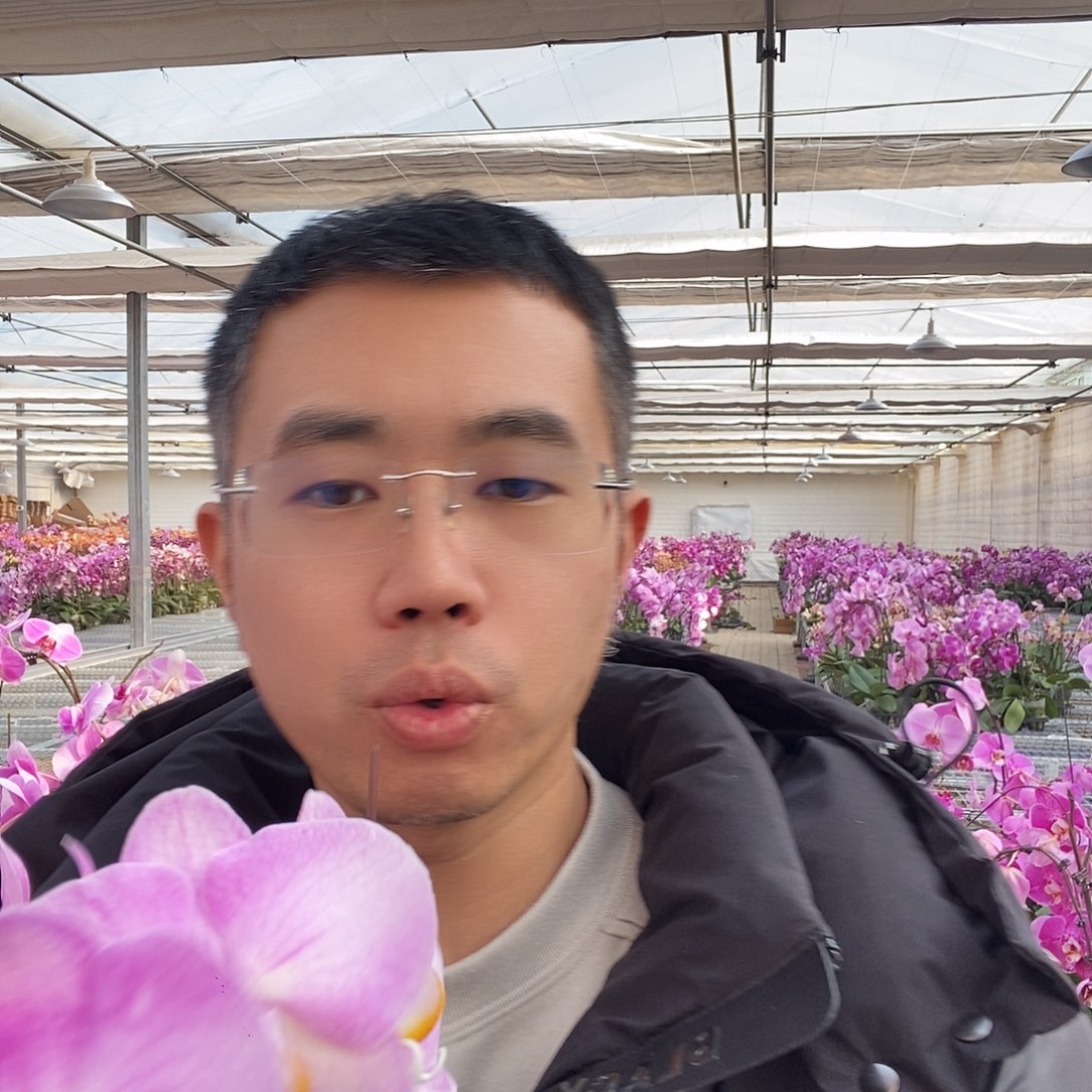 完全开放超群彩霞1颗微瑕