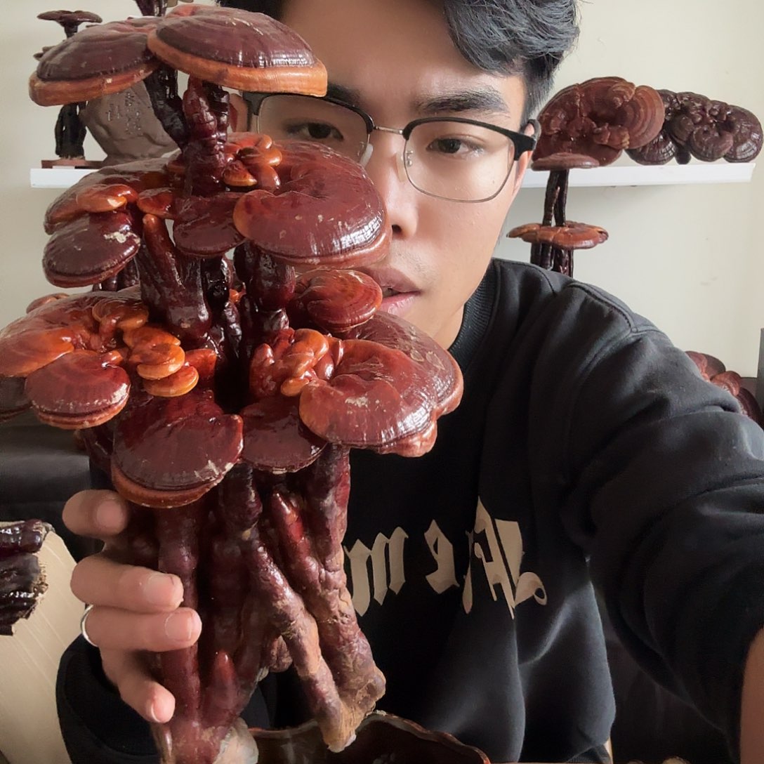 用***4无花朵888888888888