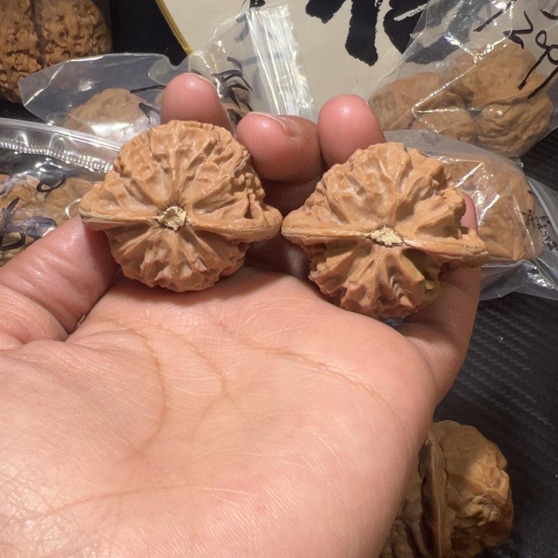 核桃全品无修宫灯43