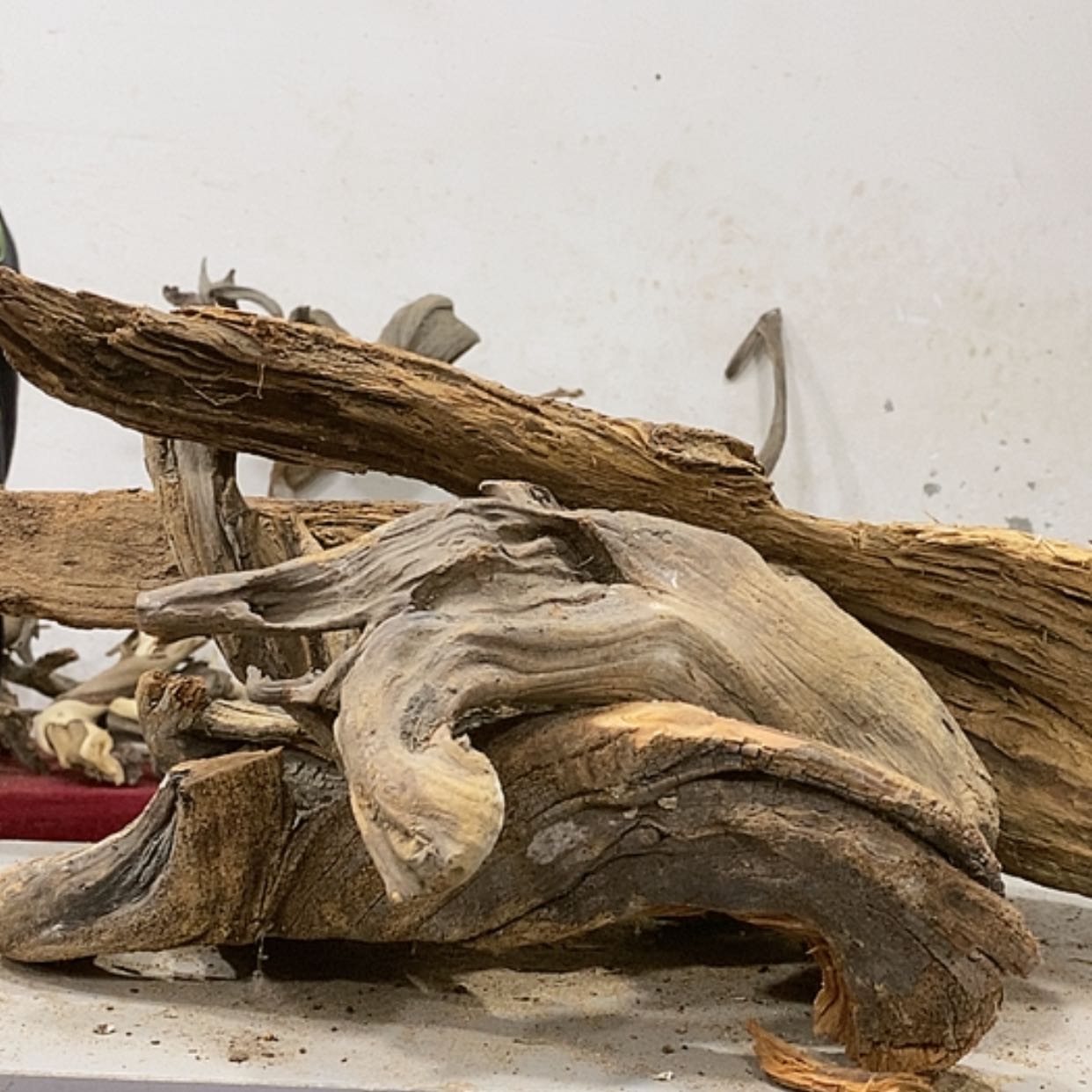 【闪购商品】柏木山****王我们都是好孩子