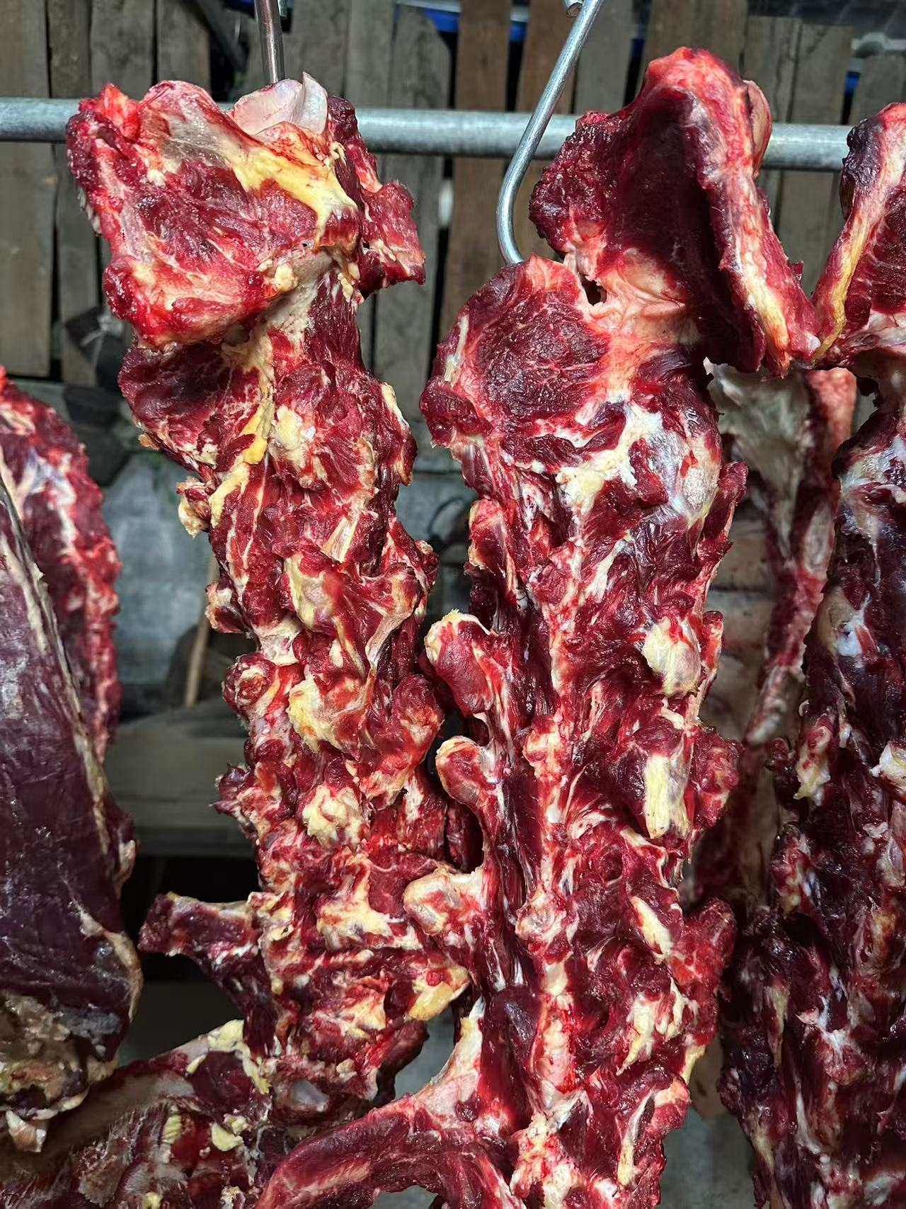 （小雨牛骨）湖南湘西本地小黄牛现称5斤