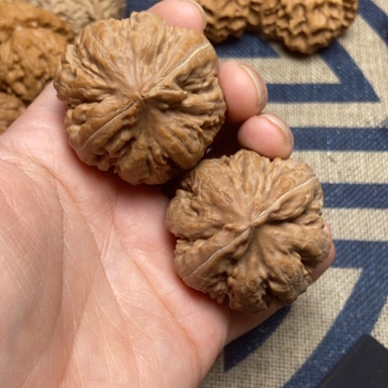 吊坠文玩核桃霸王龙