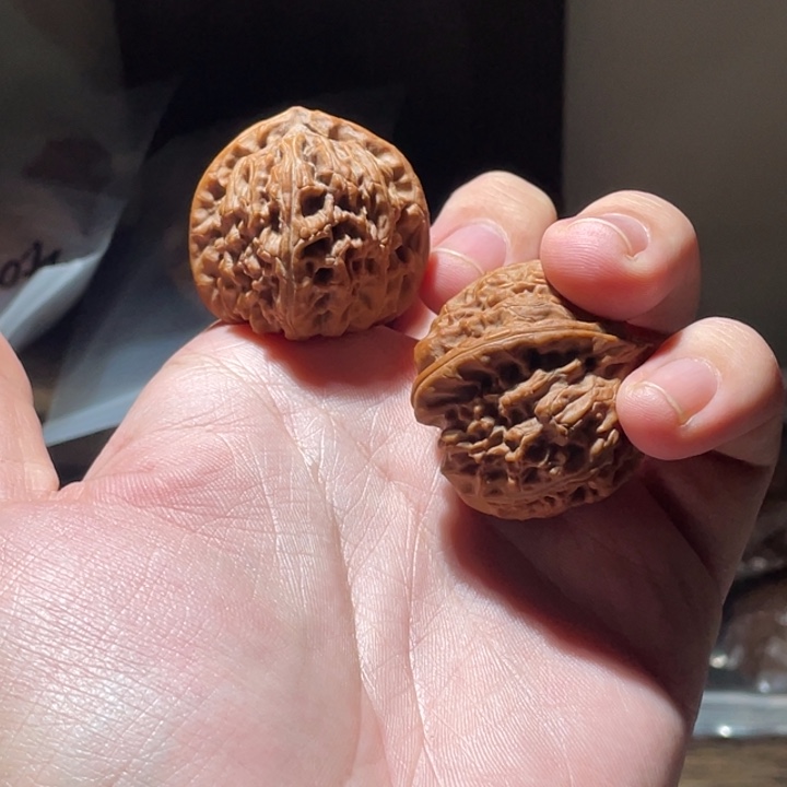 把件文玩核桃35全品白狮子福利2